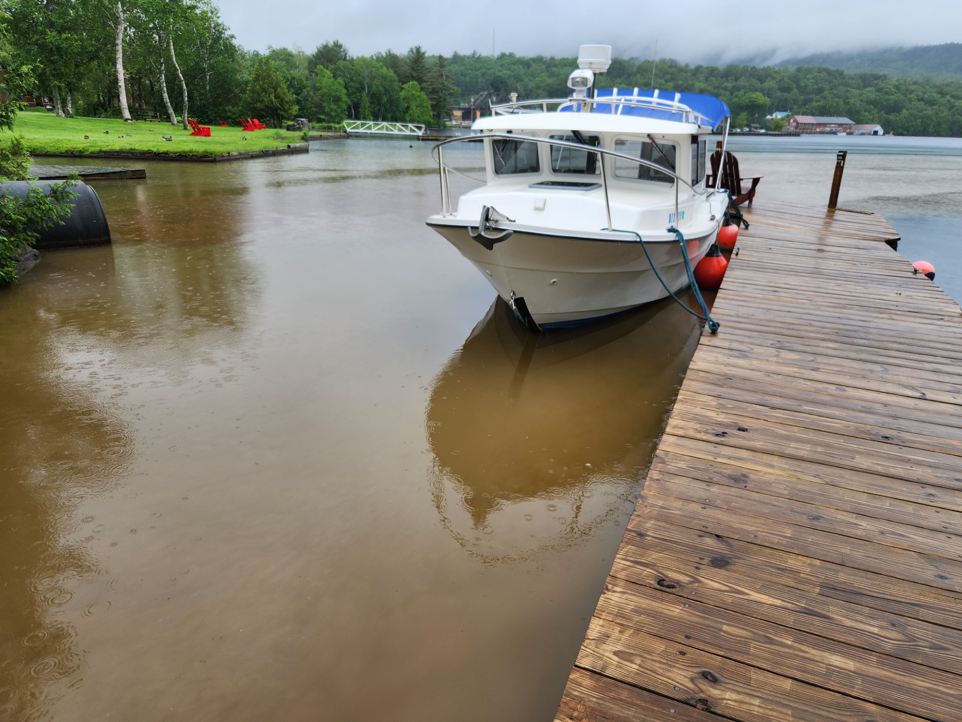 Letter to the Editor