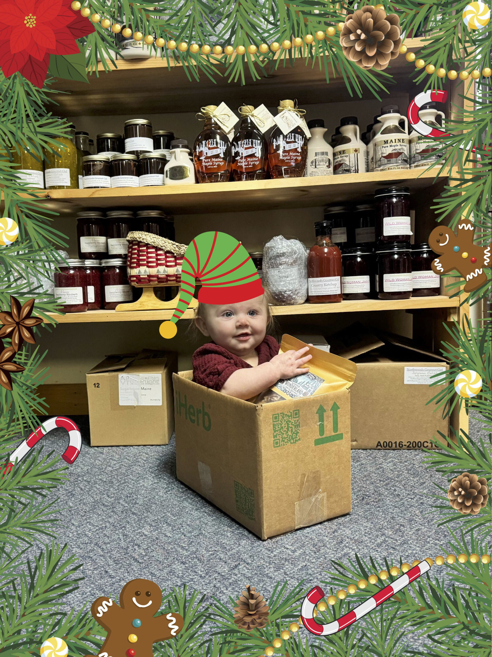 Business Spotlight: Moosehead Marketplace